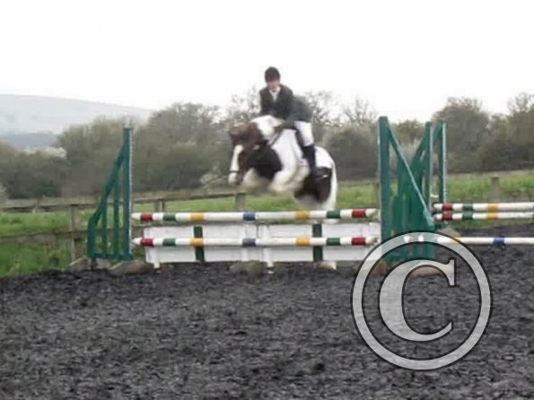 Lance coloured fences