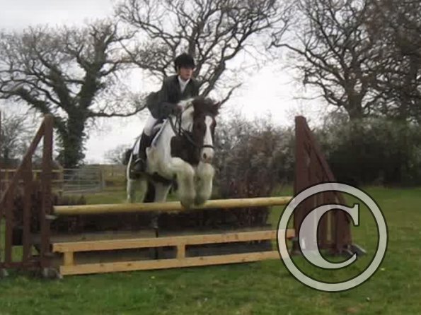 Lance rustic fences (10)