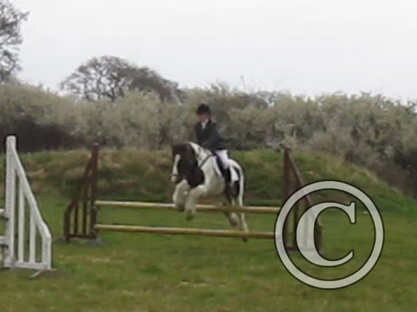 Lance rustic fences (12)