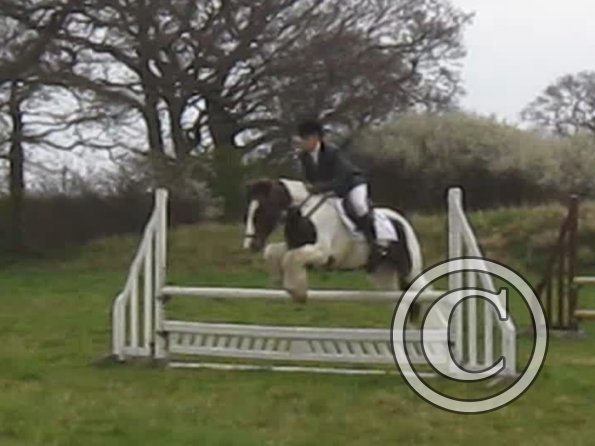 Lance rustic fences (13)