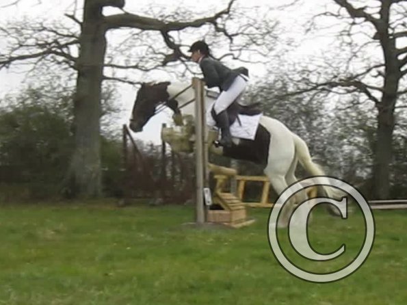 Lance rustic fences (2)