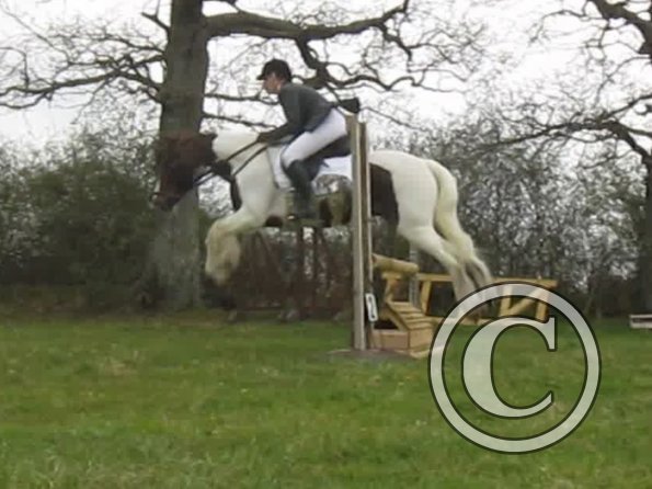 Lance rustic fences (3)