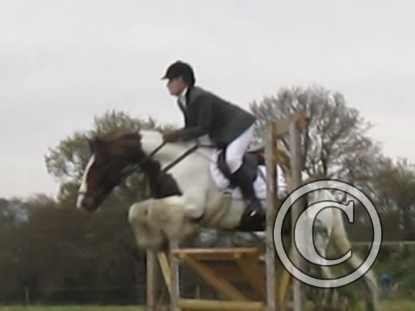 Lance rustic fences (4)