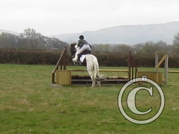 Lance rustic fences (5)