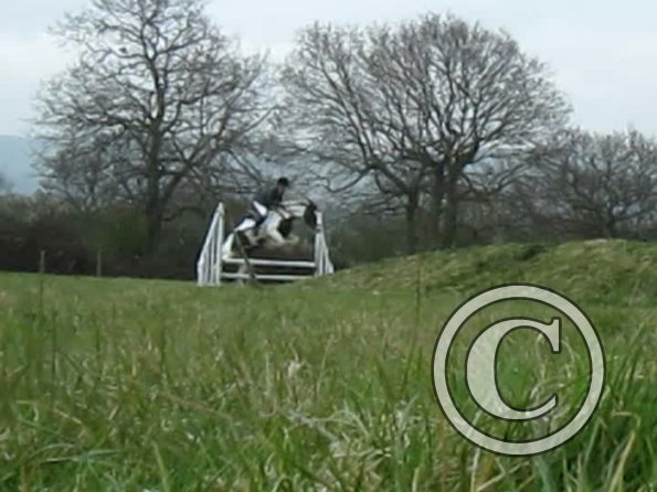 Lance rustic fences (6)