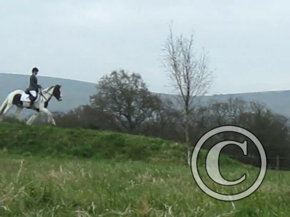 Lance rustic fences (7)