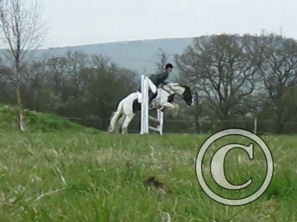 Lance rustic fences (8)