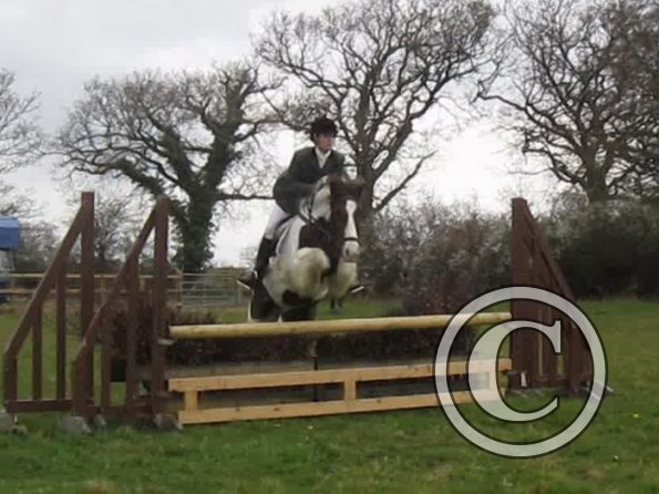 Lance rustic fences (9)