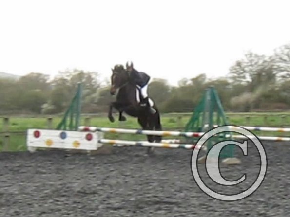 Rhi coloured fences (2)