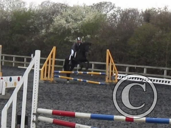 Rhi coloured fences (3)