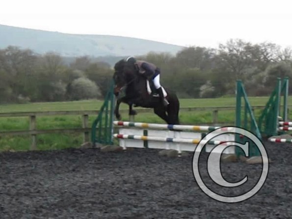 Rhi coloured fences (5)