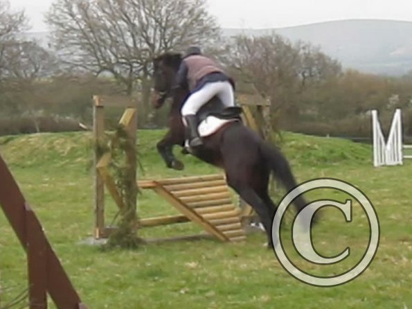 Rhi rustic fences (2)