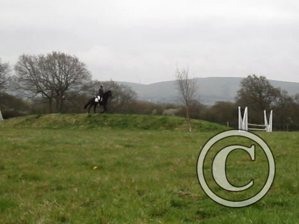 Rhi rustic fences (3)