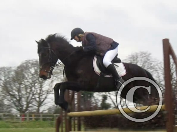 Rhi rustic fences (5)