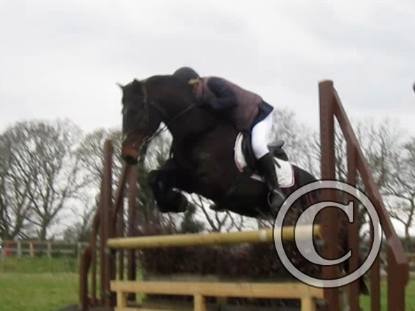 Rhi rustic fences (6)