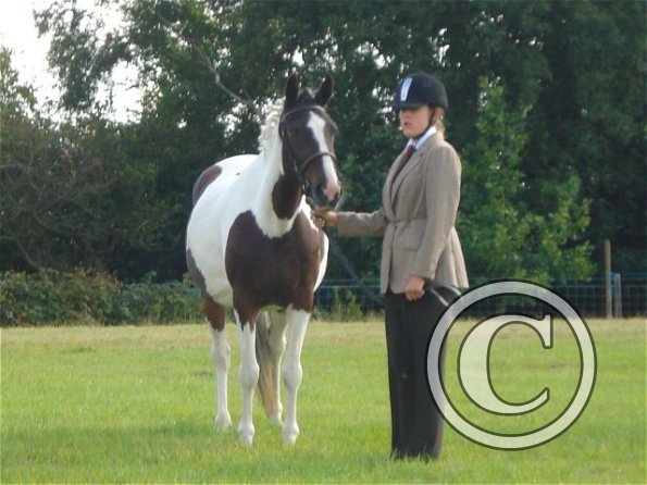 George &amp; Fee 2.jpg