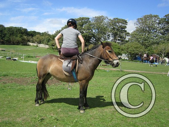 Appley and Julia (11)