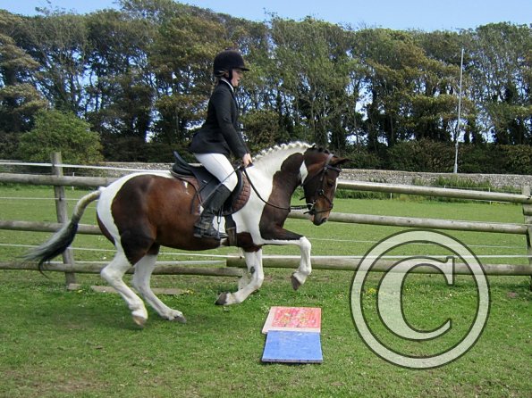 Lizzy and Verity (5)