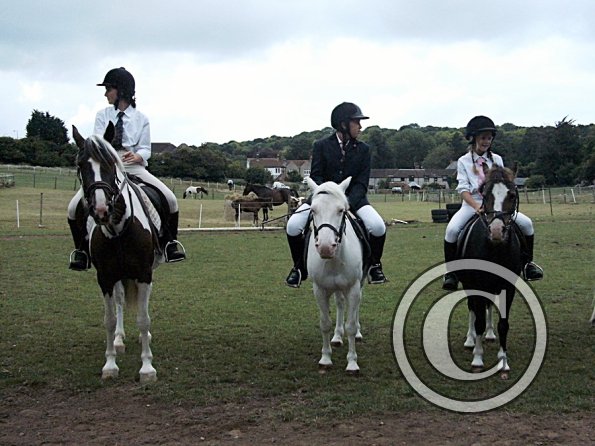 Condition and Turnout (10)