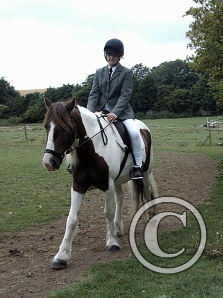 Condition and Turnout (2)