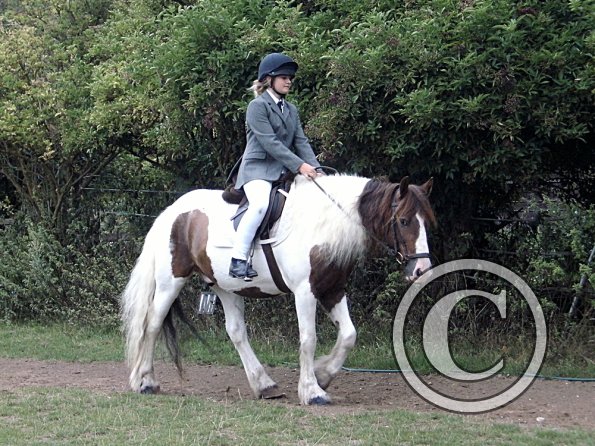 Condition and Turnout (3)