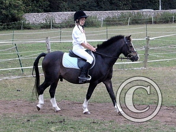 Condition and Turnout (4)