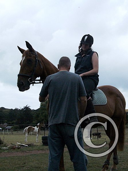 Condition and Turnout (5)