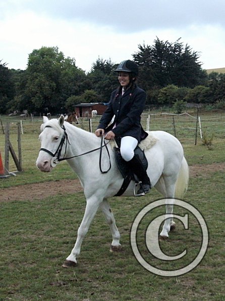 Condition and Turnout (6)