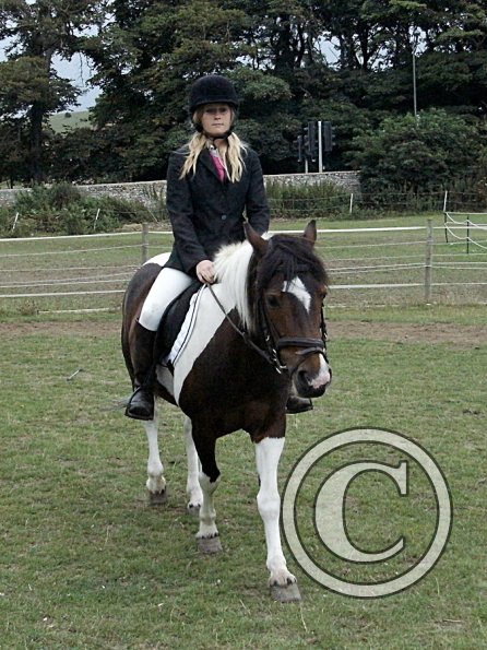 Condition and Turnout (7)