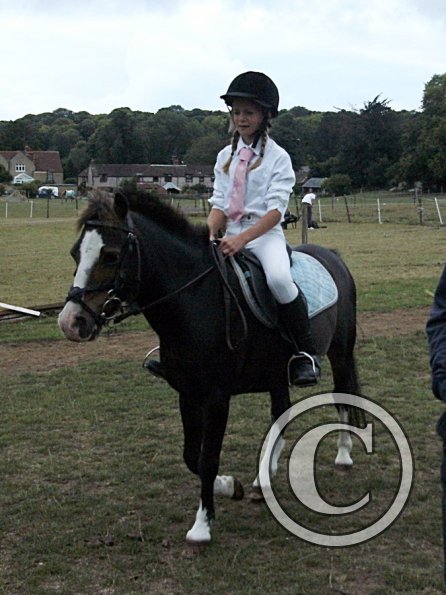 Condition and Turnout (8)