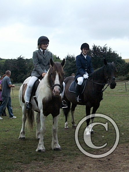 Condition and Turnout (9)