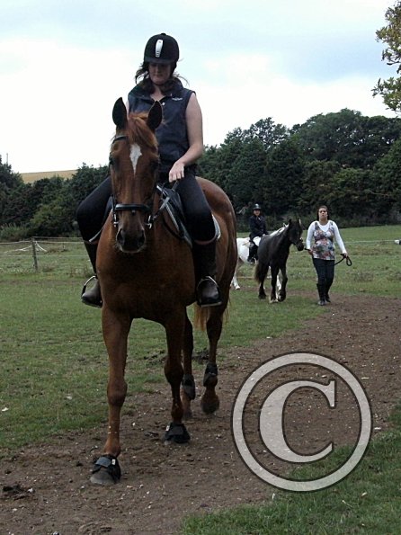 Condition and Turnout