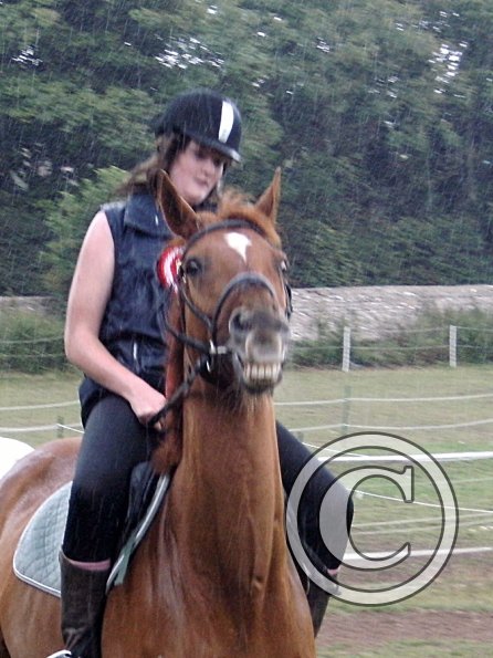 Handsomest gelding (11)