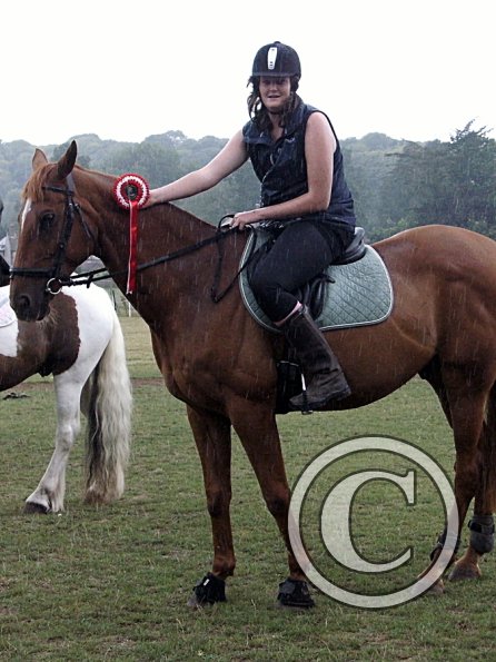 Handsomest gelding (9)