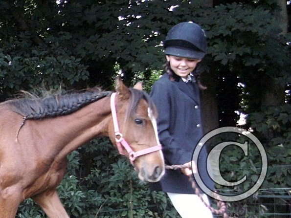 Youngstock in hand (10)