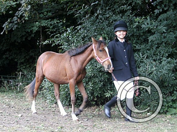 Youngstock in hand (6)