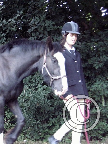 Youngstock in hand (9)