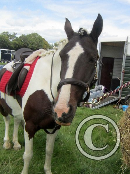 Fee at the lorry (2)