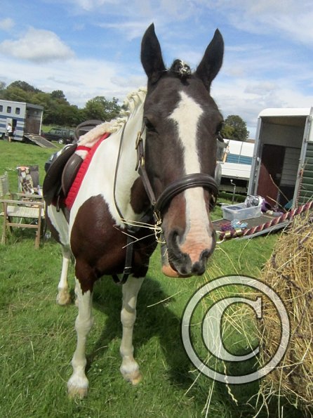 Fee at the lorry (3)