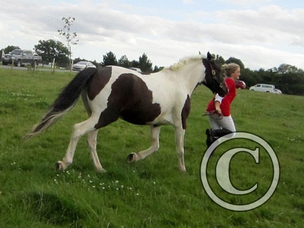 Jade and Fee running