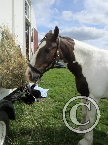 Lance at the lorry (2)