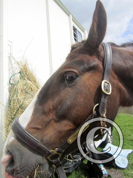 Lance at the lorry (3)
