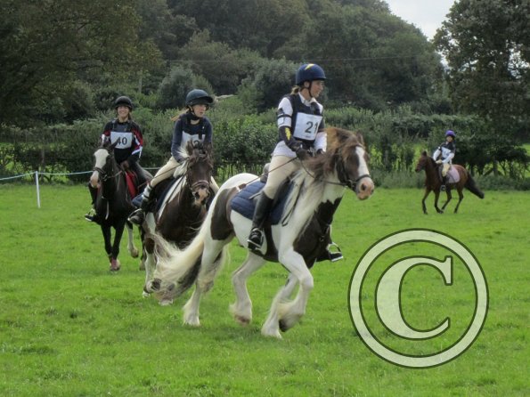 Best leg forwards Lance