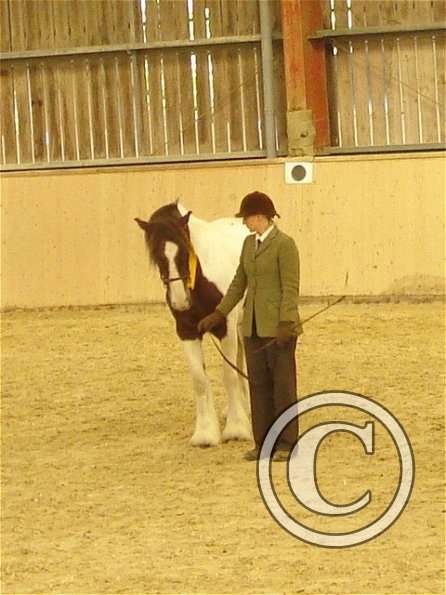 Coloured class rosette 2