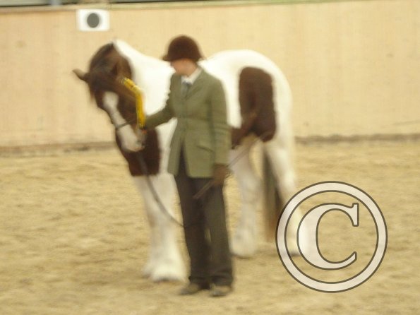 Coloured class rosette