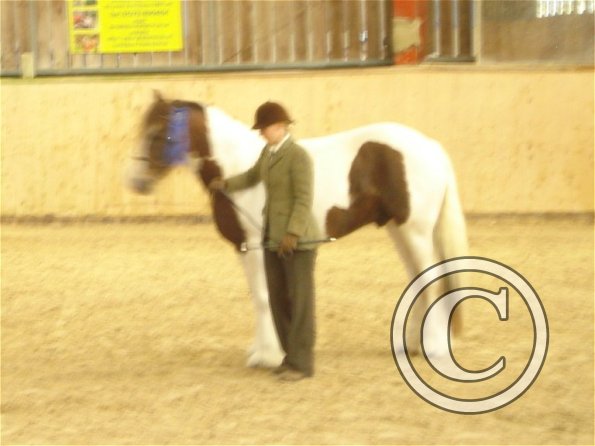 Condition and turnout rosette 2