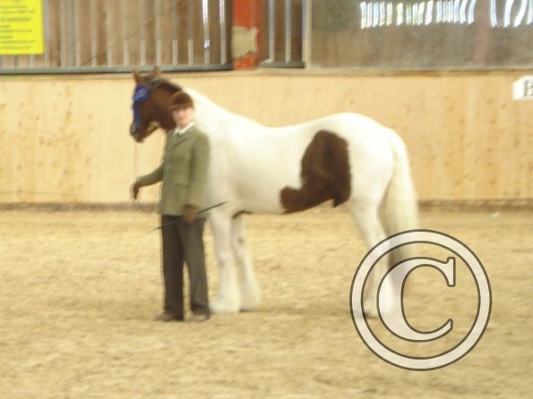 Condition and turnout rosette