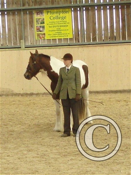 Watching the competition 2