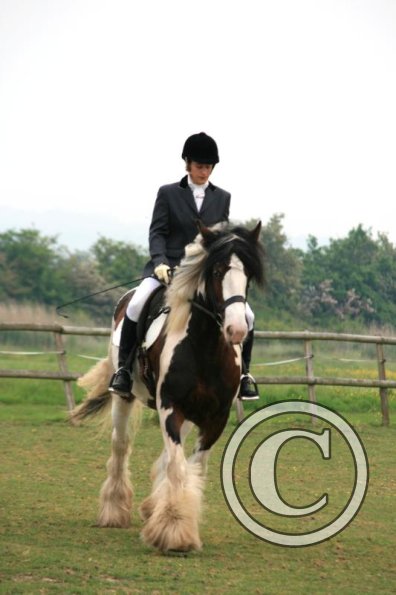 Westfield looking down