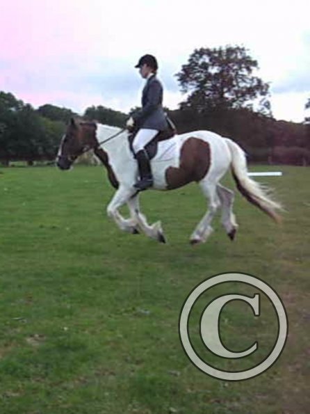 Lance canter (4)